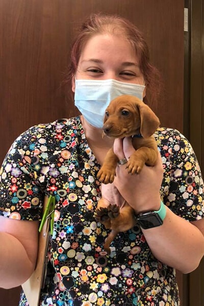 tech-holding-puppy tech holding puppy